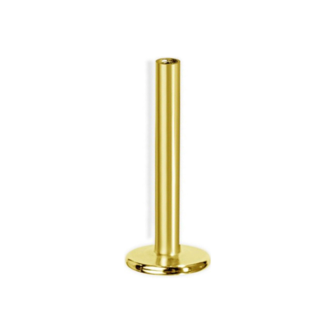 Labret titane ASTM F136 gold PVD 18K