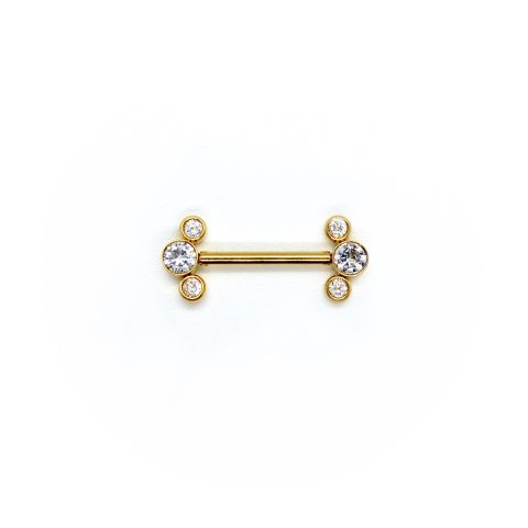 Barbell Téton titane ASTM F136 gold PVD 18K