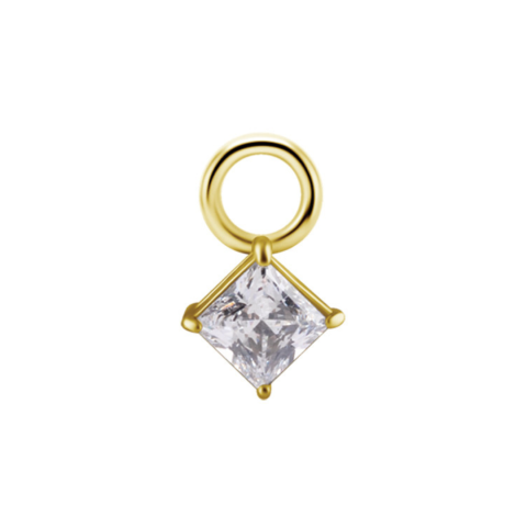 Charm acier 316L gold PVD 24K cubic zirconium premium